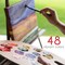 Oil Paint Set 48 x 12mL (0.4Oz) Pack of 48 Tubes of Oil Paints for Canvas Painting